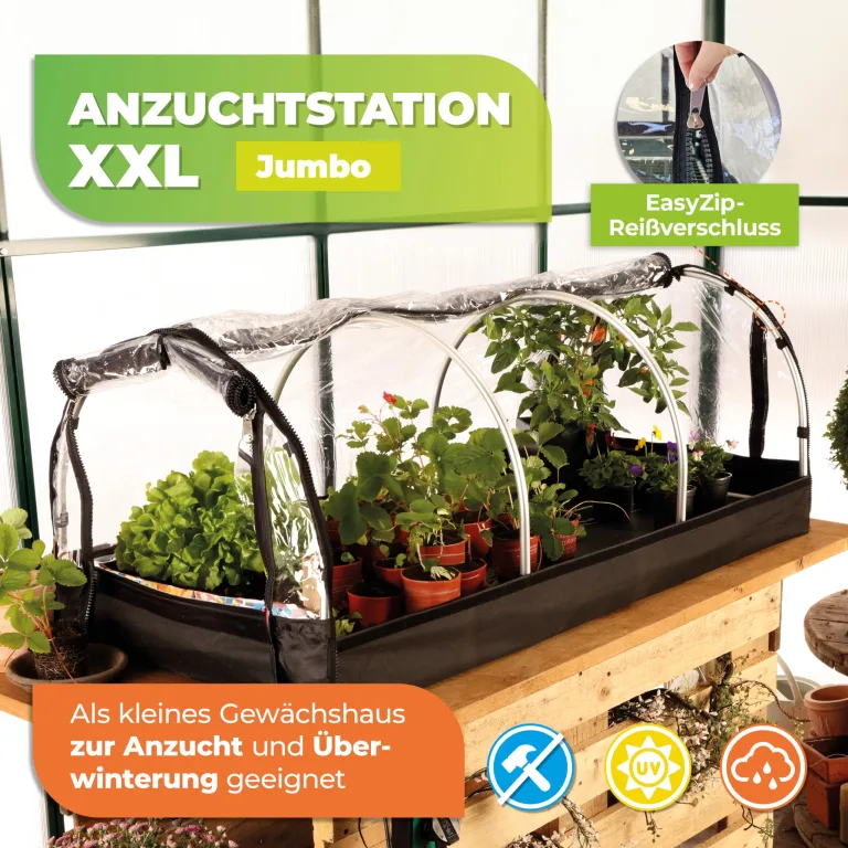 Bio Green XXL Zimmergewächshaus Jumbo | Robustes Aluminium-Rahmengestell | Anzuchtkasten L 130 x B 60 x H 50 cm – Bild 2