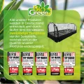 Bio Green XXL Zimmergewächshaus Jumbo | Robustes Aluminium-Rahmengestell | Anzuchtkasten L 130 x B 60 x H 50 cm - Thumbnail 6