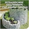 bellissa – Gabionen Kräuterspirale verzinkt 110x90x60cm - Kräuterschnecke Bausatz - Hochbeet Pflanzring für Kräuter & Gemüse mit Trennfolie - Witterungsbeständig & langlebig - Für Garten & Terrasse – Bild 2