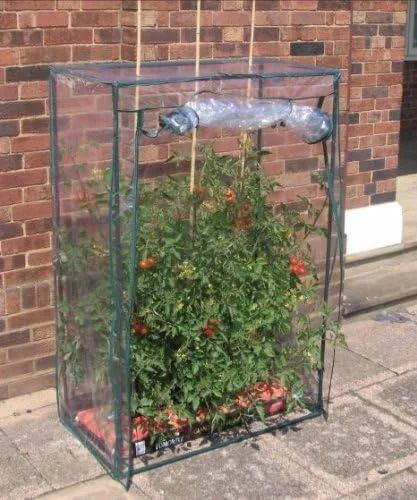 Neumann Foliengewächshaus für Tomatenanzucht, Tomatengewächshaus & Pflanzenhaus für Balkon – Bild 1