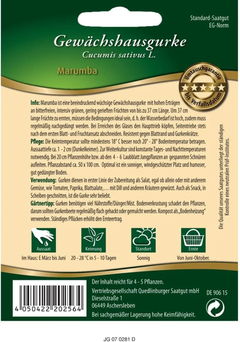 Gewächshaus-Gurke "Marumba",1 Portion – Bild 3