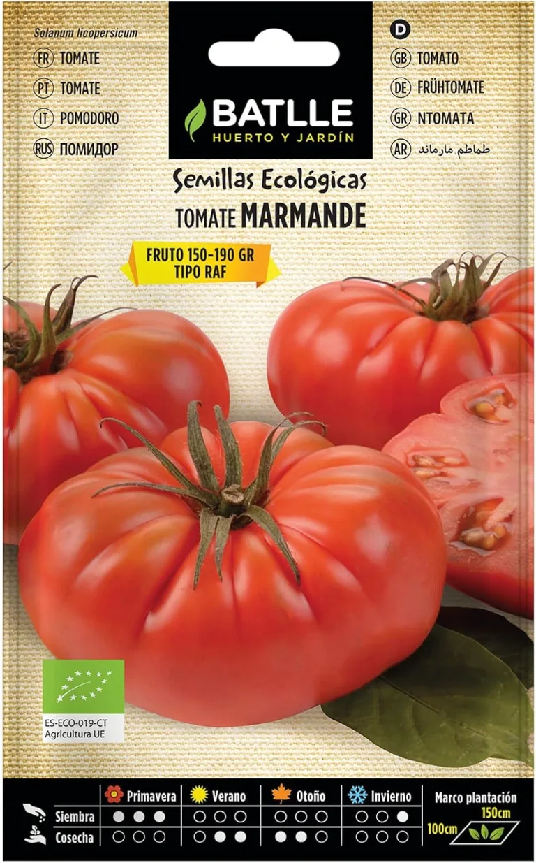 Bio Samen - Tomaten Marmande Raf (85 Samen - Bio) – Bild 1