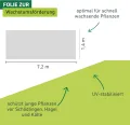 Windhager Frühbeet-Schlitzfolie mitwachsend, Pflanzfolie für Ganzjahresschutz, Frühbeetfolie, Folie für Pflanzen, grün, 7,2 x 1,4m - Thumbnail 4