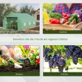 Outsunny Folien Gewächshaus Foliengewächshaus Treibhaus Frühbeet Pflanzenhaus Tomatenhaus Giebeldach 350L × 300B × 200H cm - Thumbnail 5
