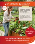 bellissa - Hochbeet Metall PANNELLO – großer modularer Cortenstahl Pflanzkübel (116 x 44 x 50 cm) – wetterfest & erweiterbar mit natürlicher Rostpatina – für Kräuter und Gemüse in Garten & Terrasse - Thumbnail 4
