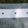 Gewächshausfolie Transparent, Gitterfolie, UV-Resistant Folie für Gewächshaus, Treibhausfolie Tomatenhaus, Frühbeetfolie, Gartenfolie Winterfest, Gewächshausplane - 1,5 m Breite - Thumbnail 7