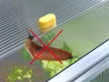 Juwel Frühbeet • Biostar Protect 2000 • 1,52m² - Thumbnail 6