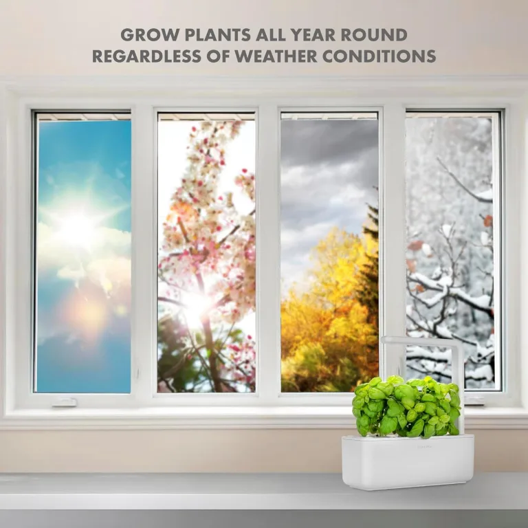 Click and Grow Growbox, Smart Garden, einfacher als Hydroponisches anzuchtsystem, Indoor Garten, kräutergarten, Indoor gewächshaus mit 3 Plant pods dabei, Weiß – Bild 4