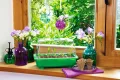 Romberg Gewächshaus S (Farbe grün, Wasserrinnen, Vertiefungen, Schieberegler in der Haube, Kunststoff PAK-frei) 10094100 - Thumbnail 5