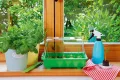 Romberg Gewächshaus S (Farbe grün, Wasserrinnen, Vertiefungen, Schieberegler in der Haube, Kunststoff PAK-frei) 10094100 - Thumbnail 3