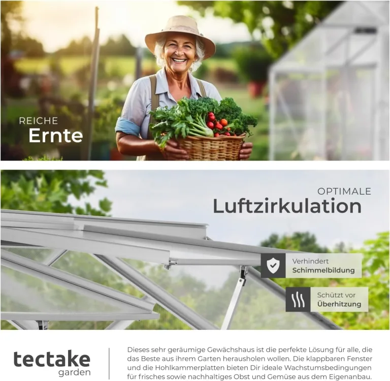 tectake® Aluminium Gewächshaus, 250x185x195 cm, Treibhaus, Tomatenhaus, Frühbeet, Pflanzenhaus, UV beständig, 4 mm Platte, Schiebetür & Dachfenster, Schutz vor Kälte, Regen und Frost - ohne Fundament – Bild 8