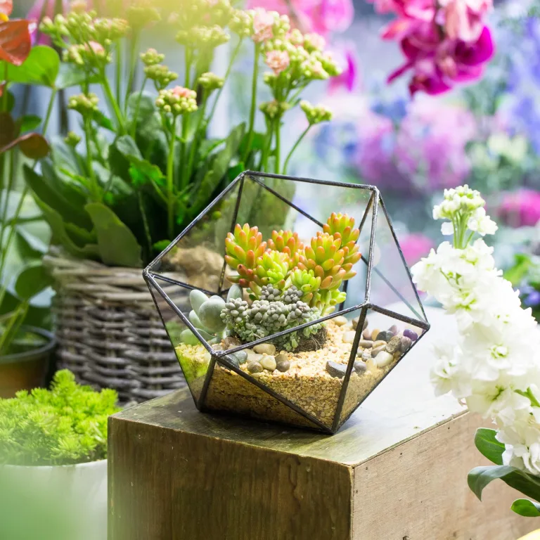 NCYP 17x17x17cm Handmade Blumentopf, Geometrisches Glasterrarium, in Form Einer Halbkugel, für Balkon, Tischdeko, als Blumentopf für Miniatur-Bonsai, ​Übertopf für Sukkulente (ohne Pflanzen) – Bild 8