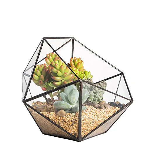 NCYP 17x17x17cm Handmade Blumentopf, Geometrisches Glasterrarium, in Form Einer Halbkugel, für Balkon, Tischdeko, als Blumentopf für Miniatur-Bonsai, ​Übertopf für Sukkulente (ohne Pflanzen) – Bild 10