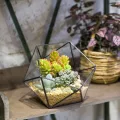 NCYP 17x17x17cm Handmade Blumentopf, Geometrisches Glasterrarium, in Form Einer Halbkugel, für Balkon, Tischdeko, als Blumentopf für Miniatur-Bonsai, ​Übertopf für Sukkulente (ohne Pflanzen) - Thumbnail 3