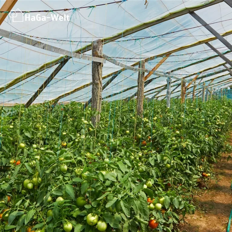 HaGa Gitterfolie 4m Breite in transparent – Extrastarke Folie für Gewächshaus klein & groß – als Gewächshausfolie & Winterschutz (Meterware) – Bild 7