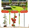 bellissa Tomatendach Höhenverstellbares Schutzdach für Tomaten - L:150 x B:120 x H:125-185 cm - Thumbnail 5