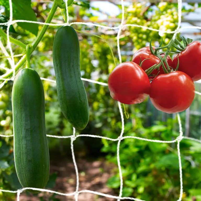 KINGLAKE Ranknetz für Kletterpflanzen, Gurkennetz 3.6X1.8M, Rankhilfe Gurken Netz, Pflanzennetze Kletternetz, Hochbeet Rank Netz, Rankgitter für Gewächshaus Garten Bohnen Tomaten-Grün – Bild 10