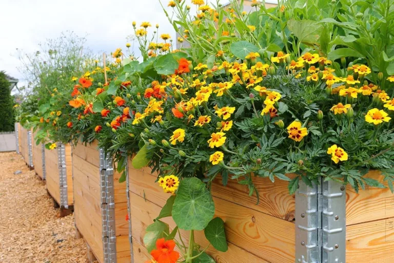 DTZ Palettenrahmen Aufsatzrahmen Hochbeet Gartenbeet Stapelrahmen (120x80x20 cm) – Bild 7