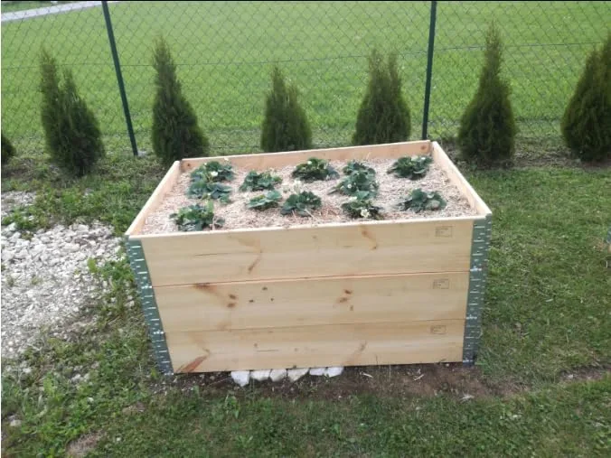 3X Hochbeet 120 x 80 x 20 cm Aufsatzrahmen Gartenbeet Stapelrahmen Europalette Palettenrahmen – Bild 8