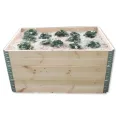 3X Hochbeet 120 x 80 x 20 cm Aufsatzrahmen Gartenbeet Stapelrahmen Europalette Palettenrahmen - Thumbnail 4