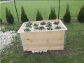 3X Hochbeet 120 x 80 x 20 cm Aufsatzrahmen Gartenbeet Stapelrahmen Europalette Palettenrahmen - Thumbnail 8