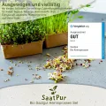 SaatPur Bio Sprossen Samen Set (12 Sorten) Weizen, Sonnenblumen, Zwiebeln, Linsen, Kresse, Alfalfa, Brokkoli, Rauke, Daikon Rettich, Mung Bohnen, Radies Red Rubin, Erbsen. - Thumbnail 2