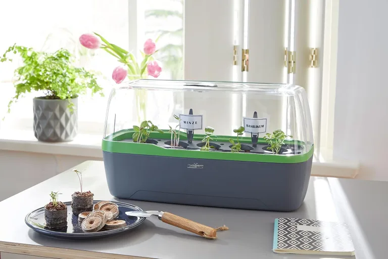 Romberg BoQube L Plus Mini Gewächshaus Anzuchtset & Pflanzkasten mit 10 selbstbewässernden Pflanzzellen und Bewässerungssystem, Zimmergewächshaus für Indoor Kräutergarten, 41×17×23 cm, Anthrazit-Grün – Bild 2
