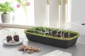 Romberg BoQube L Plus Mini Gewächshaus Anzuchtset & Pflanzkasten mit 10 selbstbewässernden Pflanzzellen und Bewässerungssystem, Zimmergewächshaus für Indoor Kräutergarten, 41×17×23 cm, Anthrazit-Grün - Thumbnail 7