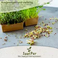 1 kg BIO Keimsprossen Alfalfa Samen Keimling Sprossen Mikrogrün Microgreens Keimsaat Sprossenanzucht - Thumbnail 6