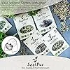 1 kg BIO Keimsprossen Alfalfa Samen Keimling Sprossen Mikrogrün Microgreens Keimsaat Sprossenanzucht - Thumbnail 2