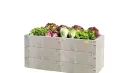 JUWEL Hochbeet Timber XXL (inkl. Thermohauben, Kräuterbeet in Holzoptik, Beetsystem mit hoher Wärmeisolierung, Maße 190x60, Hauben abnehmbar) 20823 - Thumbnail 5