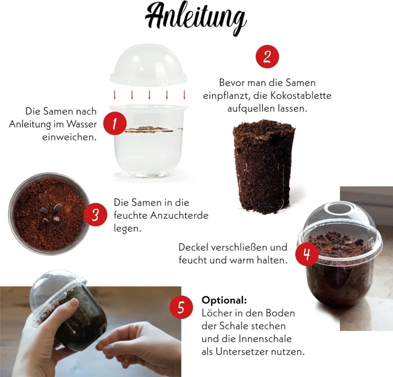 GROW2GO Bonsai Starter Kit Anzuchtset - Pflanzset aus Mini-Gewächshaus, Samen & Erde - nachhaltige Geschenkidee für Pflanzenfreunde (Tamarinde) – Bild 8