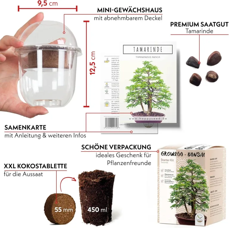 GROW2GO Bonsai Starter Kit Anzuchtset - Pflanzset aus Mini-Gewächshaus, Samen & Erde - nachhaltige Geschenkidee für Pflanzenfreunde (Tamarinde) – Bild 3