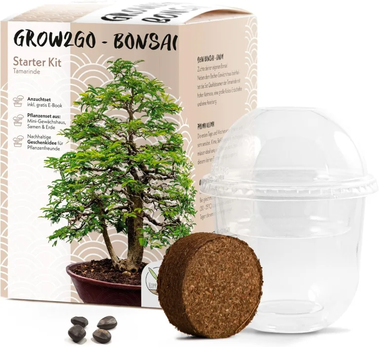 GROW2GO Bonsai Starter Kit Anzuchtset - Pflanzset aus Mini-Gewächshaus, Samen & Erde - nachhaltige Geschenkidee für Pflanzenfreunde (Tamarinde) – Bild 1