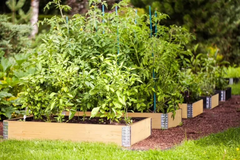 BigDean Hochbeet Paletten Rahmen faltbar 120 x 80 x 19,5 cm LxBxH Gartenbeet Frühbeet Kräutergarten Blumenbeet Pflanzengarten Komposter Natur Naturbelassen Kammergetrocknet Aufsatzrahmen Stecksystem – Bild 5