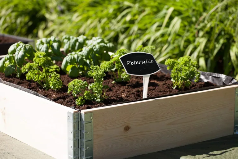 BigDean Hochbeet Paletten Rahmen faltbar 120 x 80 x 19,5 cm LxBxH Gartenbeet Frühbeet Kräutergarten Blumenbeet Pflanzengarten Komposter Natur Naturbelassen Kammergetrocknet Aufsatzrahmen Stecksystem – Bild 3