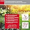 NOOR Ersatzfolie für Tomaten-Gewächshaus Premium - UV-stabilisierte Gartenbaufolie 135 g/m² - ca. 200x75x175 cm – Bild 2