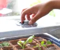 EDA – Mini-Gewächshaus 15,7 Liter – Größe L – 56 x 38 x 24 cm – Anthrazit - Thumbnail 5