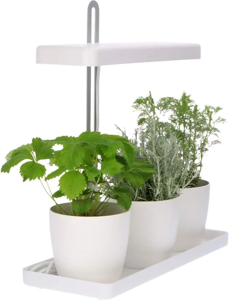 Design Kräutergarten mit höhenverstellbarem Pflanzenlicht 20W als Anzuchtschale oder Kräuterbeet - Bild 1