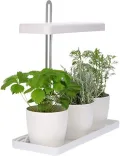 Design Kräutergarten mit höhenverstellbarem Pflanzenlicht 20W als Anzuchtschale oder Kräuterbeet - Thumbnail 2