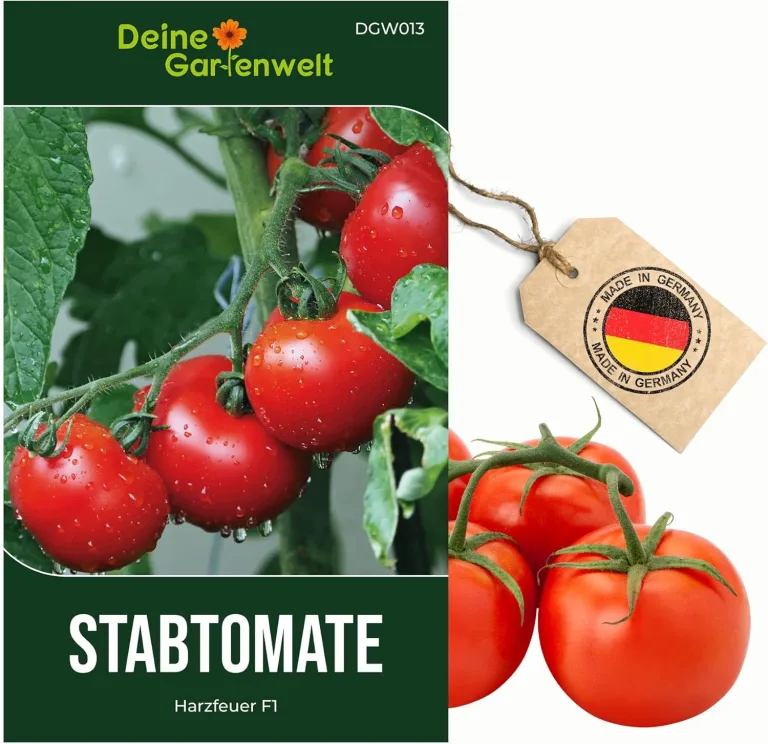 Stabtomaten Harzfeuer F1 Samen - Solanum lycopersicum - Tomatensamen - Gemüsesamen - Saatgut für 15 Pflanzen – Bild 1