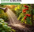 Stabtomaten Harzfeuer F1 Samen - Solanum lycopersicum - Tomatensamen - Gemüsesamen - Saatgut für 15 Pflanzen - Thumbnail 9