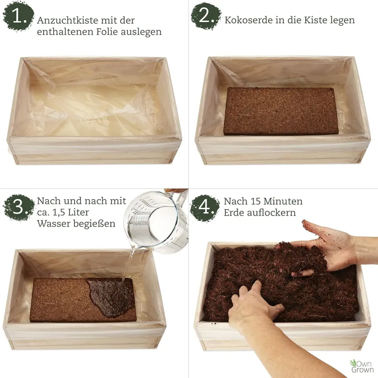 Saatgut Anzuchtset mit Holzkiste und 8 Sorten Pflanzen Samen: Kinder Anzuchtset Pflanzen mit Gemüse, Erdbeeren und Kräuter Samen – Mini Gewächshaus und Mini Garten Starter Kit von OwnGrown – Bild 6