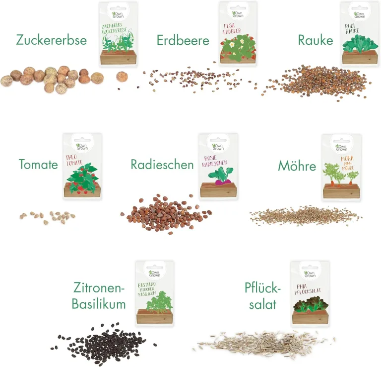 Saatgut Anzuchtset mit Holzkiste und 8 Sorten Pflanzen Samen: Kinder Anzuchtset Pflanzen mit Gemüse, Erdbeeren und Kräuter Samen – Mini Gewächshaus und Mini Garten Starter Kit von OwnGrown – Bild 2