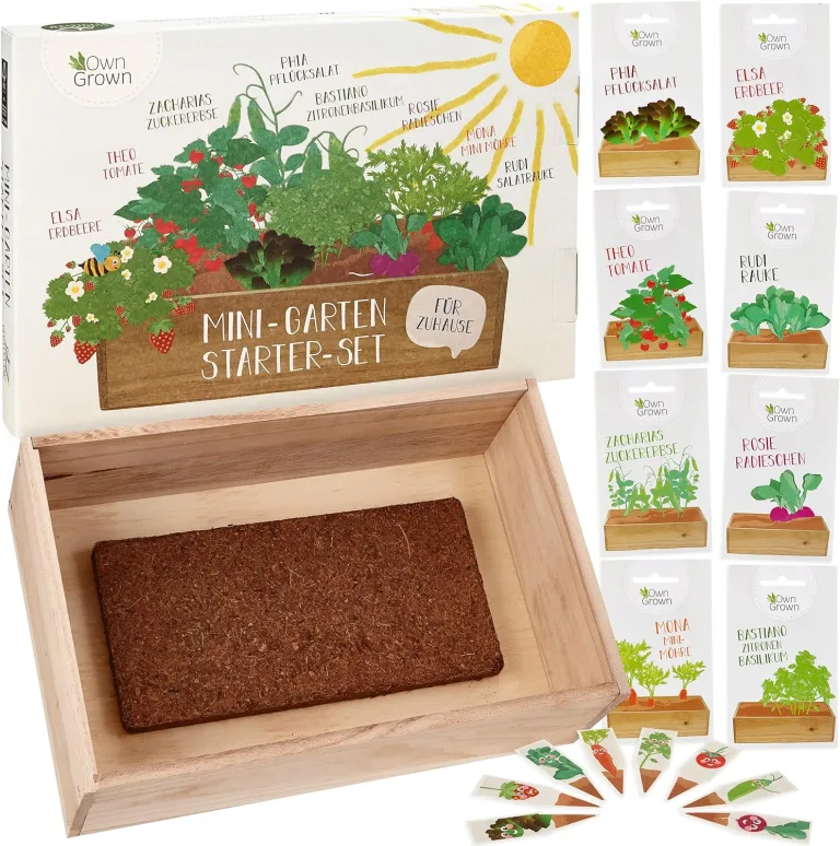 Saatgut Anzuchtset mit Holzkiste und 8 Sorten Pflanzen Samen: Kinder Anzuchtset Pflanzen mit Gemüse, Erdbeeren und Kräuter Samen – Mini Gewächshaus und Mini Garten Starter Kit von OwnGrown – Bild 1