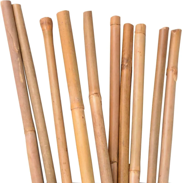 UNUS Bambusstäbe, Pflanzenstäbe zur Stabilisierung von Pflanzen im Garten, Rankstäbe Bambus 120 cm naturfarbend, 25 Stück – Bild 11