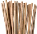 UNUS Bambusstäbe, Pflanzenstäbe zur Stabilisierung von Pflanzen im Garten, Rankstäbe Bambus 120 cm naturfarbend, 25 Stück - Thumbnail 1