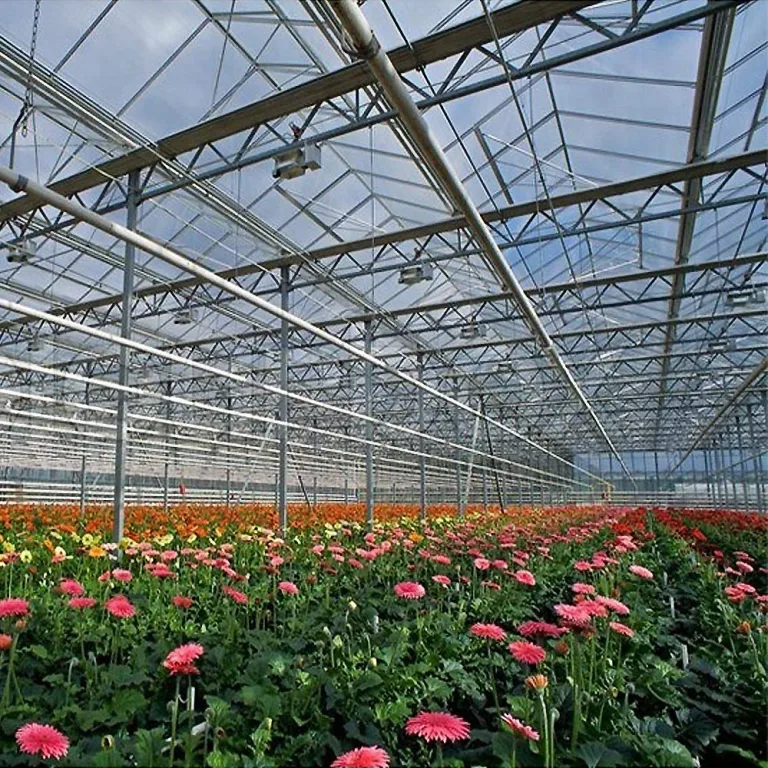 Froadp 14 Stück UV-beständigem Polycarbonat Hohlkammerstegplatten 700g/㎡ Doppelstegplatte Gewellte Gewächshausplatte für Garten Treibhaus(605x1210x4mm, Transparent) – Bild 9