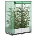 Hochbeet mit Gewächshaus Frühbeet 80x40x123 cm Rattan Optik für Garten Balkon, Stabiles PP Beet mit Eisenrahmen & Wasserdichter PE Abdeckung für Tomaten Gemüse Kräuter - Thumbnail 1