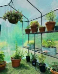 Ohuhu Gewächshaus Foliengewächshaus 3 Tiers 12 Regale | Winterfest & Stabil | Tomatengewächshaus für Pflanzen mit PE-Abdeckung | Tomatenhaus für Garten 145x145x195 cm Grün - Thumbnail 8
